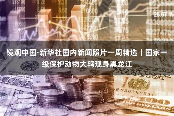 镜观中国·新华社国内新闻照片一周精选丨国家一级保护动物大鸨现身黑龙江