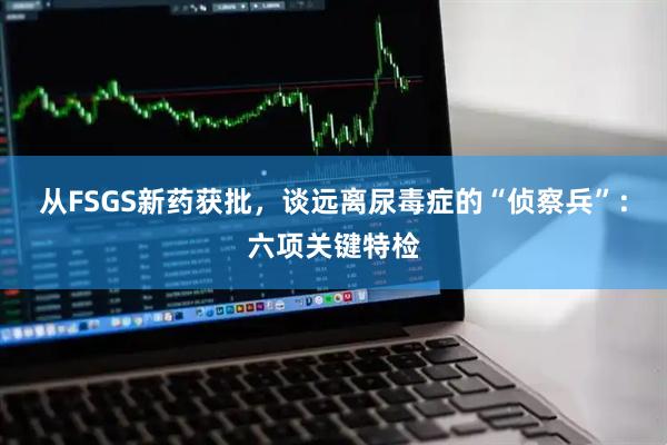 从FSGS新药获批，谈远离尿毒症的“侦察兵”：六项关键特检