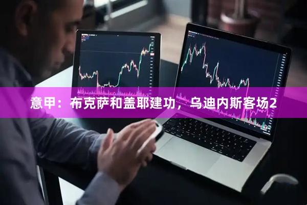 意甲：布克萨和盖耶建功，乌迪内斯客场2