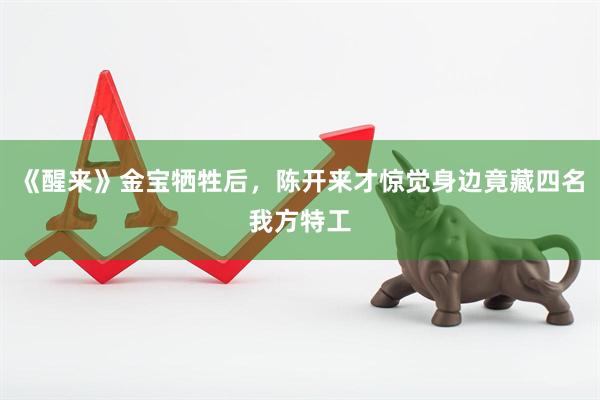 《醒来》金宝牺牲后，陈开来才惊觉身边竟藏四名我方特工